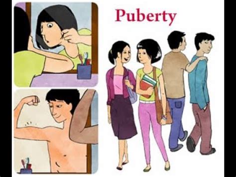 Physical Changes That Occur During Puberty The Many Physical Changes