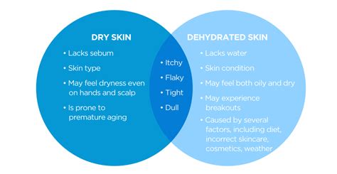 Understanding The Difference Between Dry And Dehydrated Skin Renaza