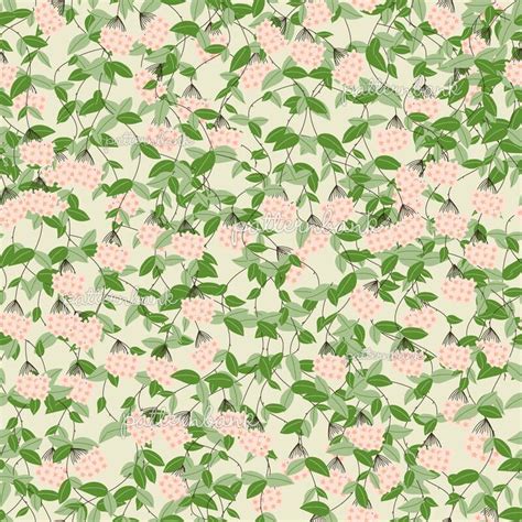 Blooms Hoya Carnosa Flowers By Anna Tseshkovskaya Seamless Repeat