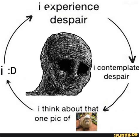 Despair Memes Best Collection Of Funny Despair Pictures On Ifunny