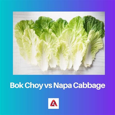 Difference Between Bok Choy And Napa Cabbage