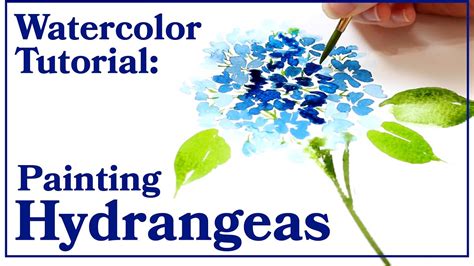 Watercolor Tutorial How To Paint Hydrangea Flowers Fun For All But