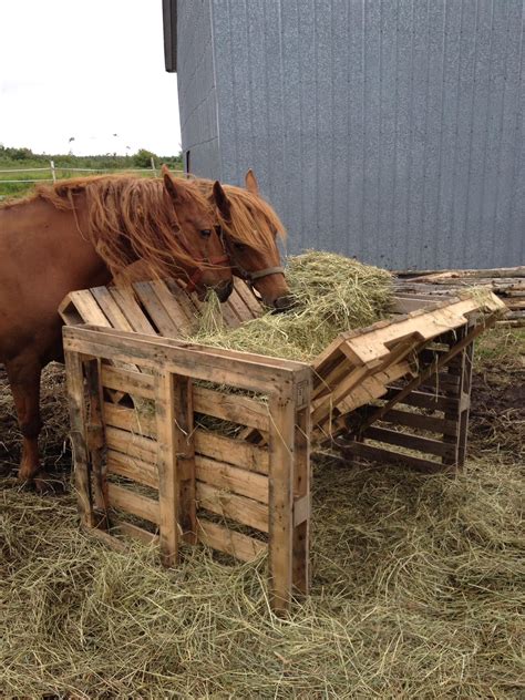 With window hay and straw storage and rug storage. The 25+ best Horse hay ideas on Pinterest