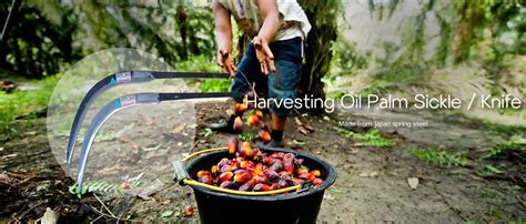 Lee & yong aluminium sdn bhd. Oil Palm Sickle Selangor, Harvesting Knife Supply Kuala ...