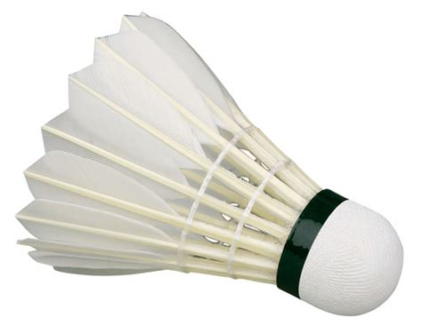 Carrying 1000's of products from the best brands including gt, k2. Badminton Feather Shuttlecock, Shuttlecocks, Feather Shuttlecock, बैडमिंटन शटलकॉक in Indore ...