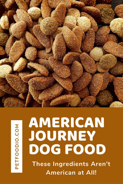 4.6 out of 5 stars. American Journey Dog Food: These Ingredients Aren't ...