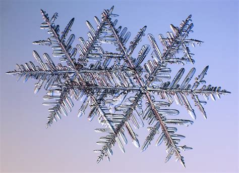 A Guide To Snowflakes Snow Addiction News About Mountains Ski
