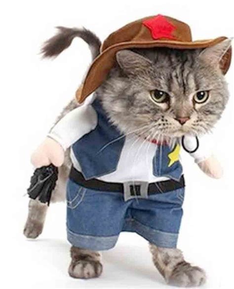 Cat With Cowboy Hat Screaming