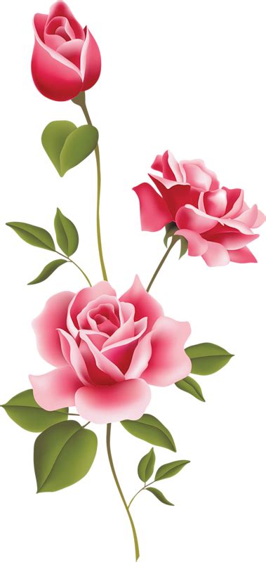 Pink Rose Clipart 20 Free Cliparts Download Images On Clipground 2023