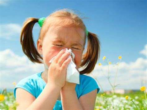 Alergi Debu Pada Anak Ketahui Pemicu Dan Cara Mengatasinya