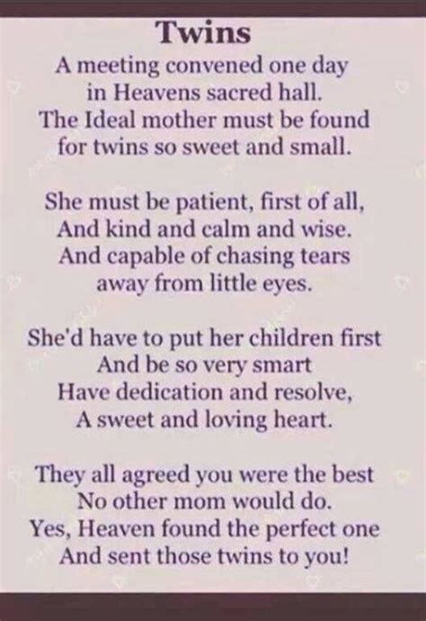 Mother Of Twins Poem