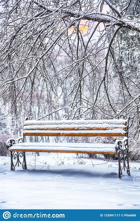 Park Bench And Trees Covered By Heavy Snow Stock Image Image Of Road