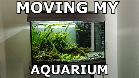 How To Move An Aquarium Aquascape Frame Nature Youtube
