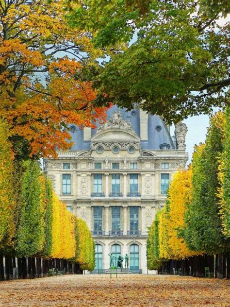 Louvre Autumn Bing Wallpaper Download