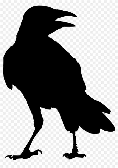 Transparent Download Crow Clipart Raven Silhouette Art Crow