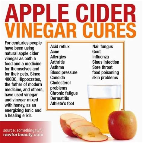 It has many health benefits and also side effects. Cheritera Hidup Dan Kejayaan: Kebaikan Apple Cider Vinegar ...