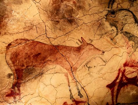 6 Incredible Facts About The Prehistoric Altamira Cave Paintings Mex Alex