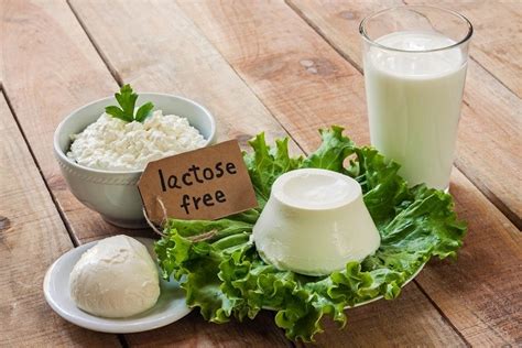Lactose Food
