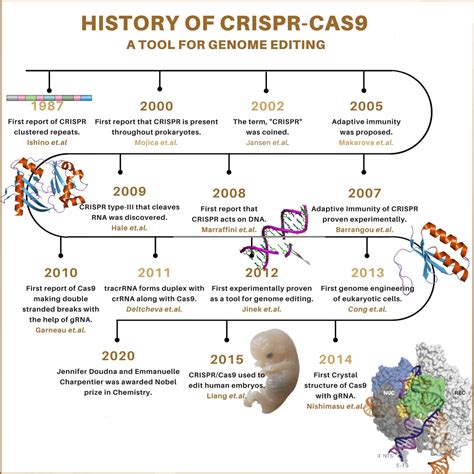 History Of Crispr Genome Editing Timeline Poster Digital Etsy