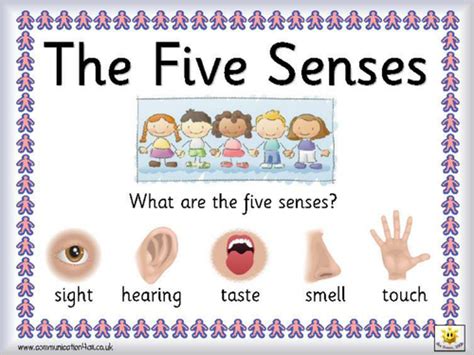 Senses Teaching Resources