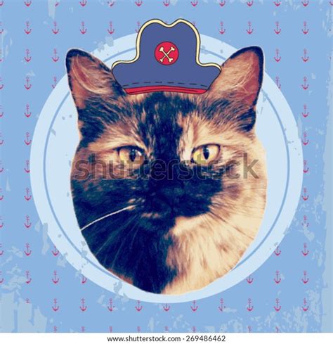 Vector Vintage Pirate Cat Stock Vector Royalty Free 269486462
