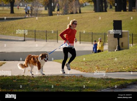 Women Walking Their Dogs On Chicagos Waterfront Stock Photo Alamy