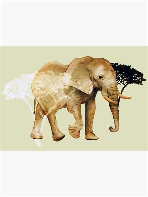 African Elephant Sticker By Minniemorrisart Redbubble