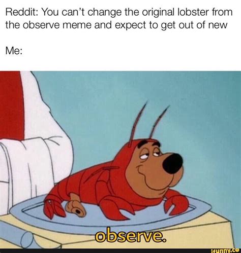 Reddit You Cant Change The Original Lobster From The Observe Meme And