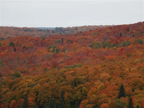 Photo Gallery Fall Color Arrives In Northern Minnesota Mpr News