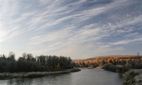 Autumn Frosty Morning With Frost On Plants In The Upper Reaches Of The