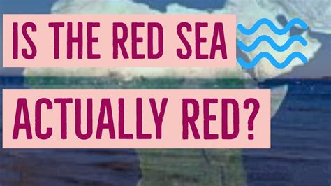 Why Is The Red Sea Called So Youtube