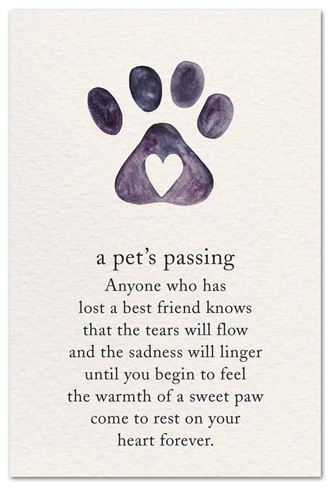 A Pets Passing Card Pet Condolence Card Cardthartic Com