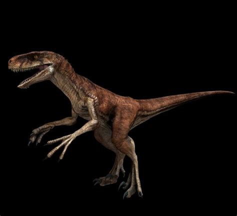 An Image Of A Dinosaur In The Dark