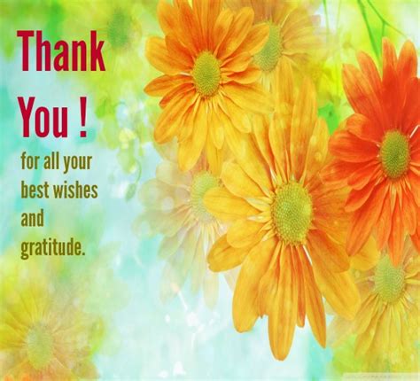 Heartiest Thanks For All Your Wishes Free Thank You ECards Greetings