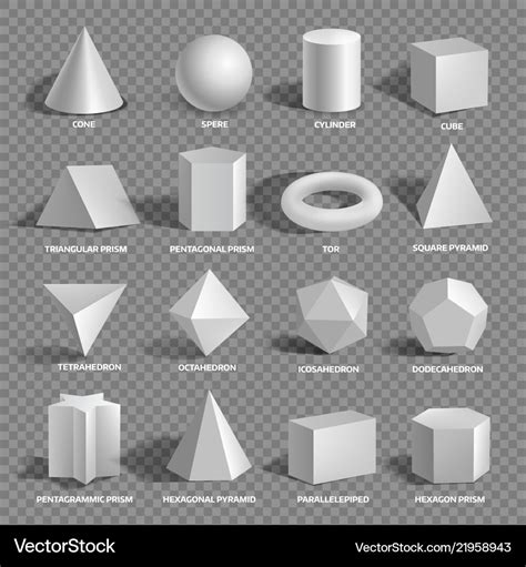 Basic 3d Geometric Shapes Collection With Names Vector Image