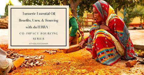 Turmeric Essential Oil Benefits Uses Sourcing With Doterra Co