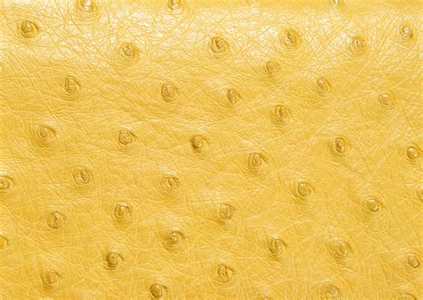 Leather Big Texures Background Image Free Picture Leather Download