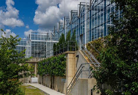 Phipps Conservatory Displays Vertical Gardening With Livewall