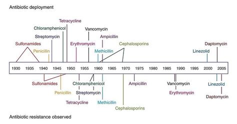 Timeline Of Antibiotic Development And The Evolution Of Antibiotic