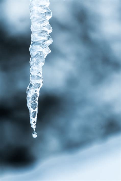 Free Images Water Snow Cold Winter Ice Close Up Icicle Melting