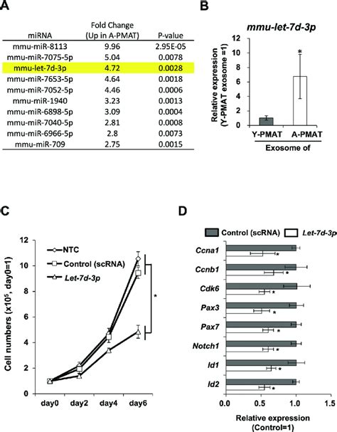 Let 7d 3p Was Highly Expressed In A Pmat Derived Exosomes And Inhibited