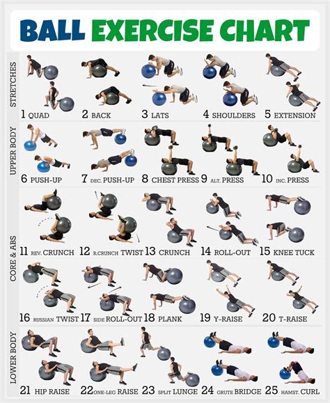 printable ball exercise chart workout log workout chart bodyweight workout exercise chart