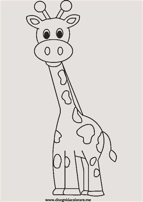 Baby Giraffe On The Beach Coloring Pages Brachanews