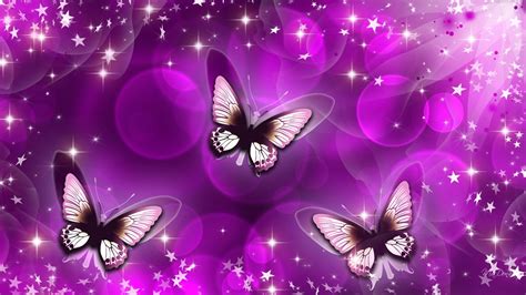 Neon Pink Butterfly Wallpapers Top Free Neon Pink Butterfly