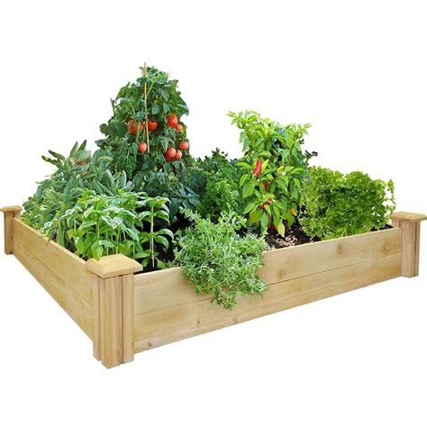 Raised garden beds make gardening easier, are better for your plants, and look great in every garden. Greenes Fence Co. Cedar Raised Garden Kit | Gardening ...
