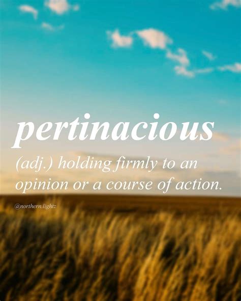 Pin By Tαɳყα On Glossário Weird Words Word Definitions Uncommon