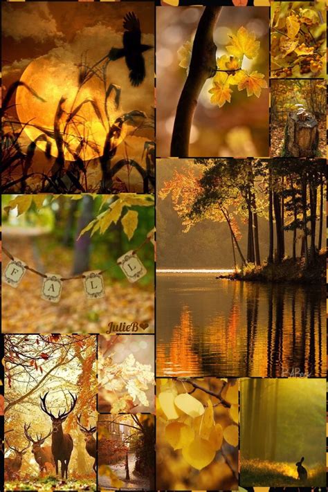 Pinterest Fall Pictures Autumn Inspiration Beautiful Fall