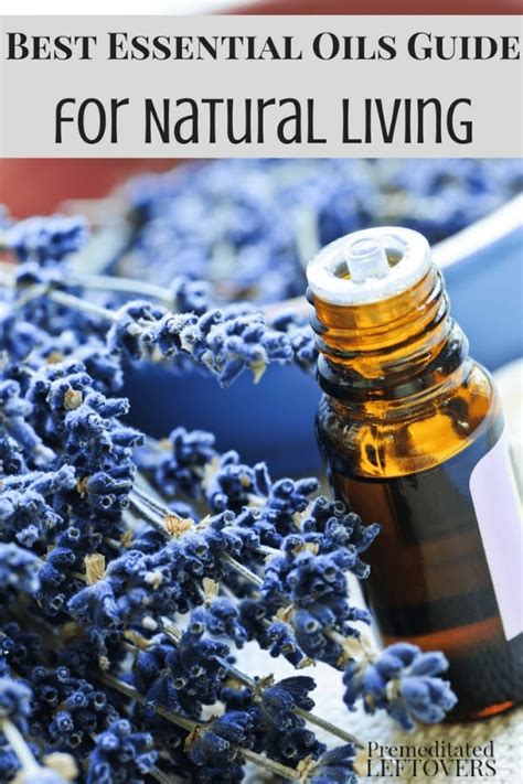 How to use essential oils for vertigo. Best Essential Oils Guide for Natural Living