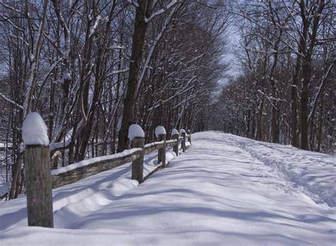 Snow Covered Path Pentax User Photo Gallery