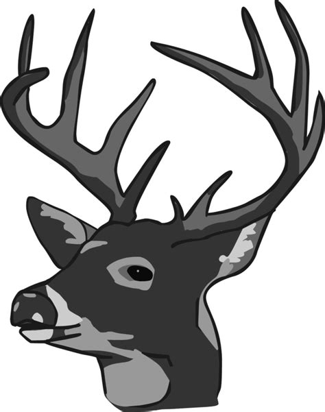 Whitetail Deer Head Vector Clipart Best
